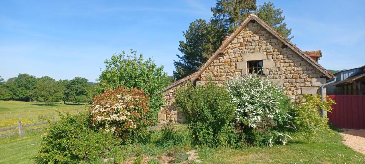Domaine De Reniere Βίλα Buxières-les-Mines Εξωτερικό φωτογραφία